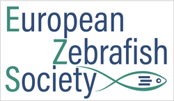 European Zebrafish Society Logo